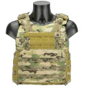 Жилет А-18 Голиаф-Д Ars Arma в Капсуле