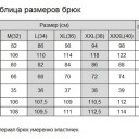 Брюки Atlant Armour Орион, Серые в Капсуле