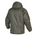 Paladin Winter в Капсуле