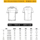 Футболка Dragon Tooth MZ Crew-Neck T-Shirt, Grey в Капсуле