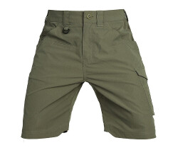 Шорты Emerson Blue Label Scout, Ranger Green