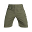 Шорты Emerson Blue Label Scout, Ranger Green